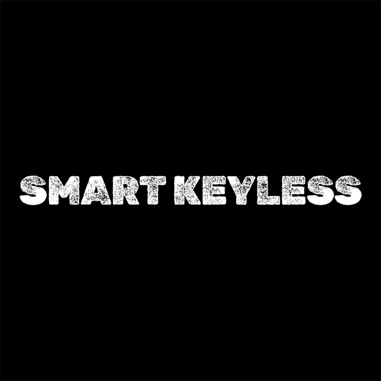 SMART KEYLESS PLUG AND PLAY WITH LABOR